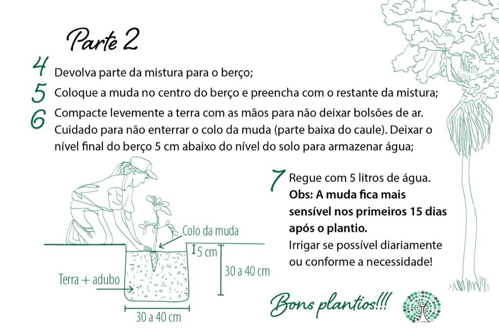 Dia da arvore - ilustração