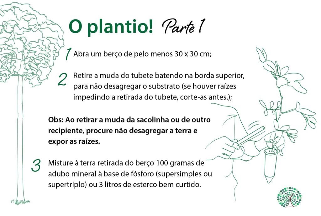 Dia da arvore - ilustração