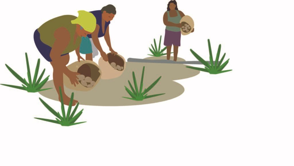 Desenho vetorial - Mulheres Trabalhando